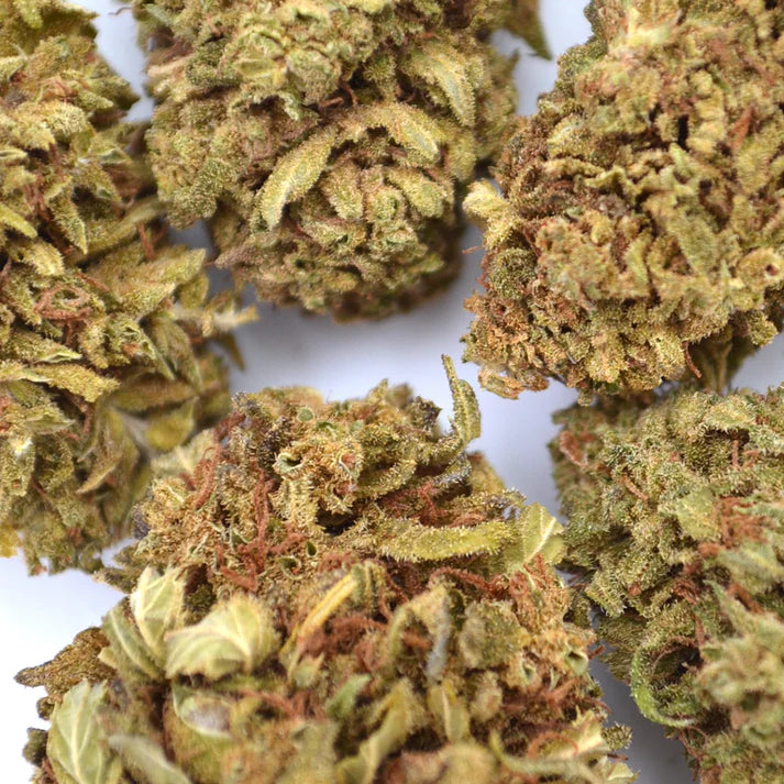 Fleur de CBD Gelato Gorilla Punch