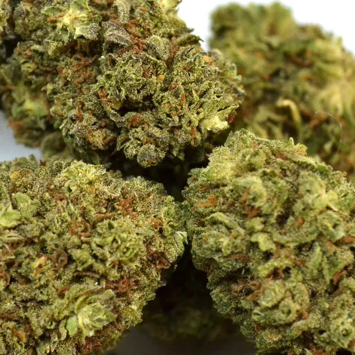 Fleur de CBD AK 47 cbdardeche