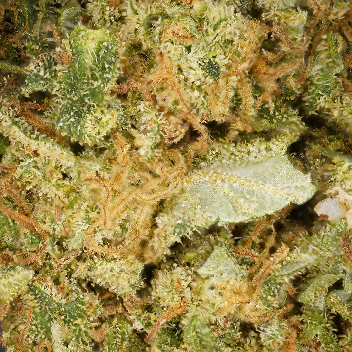 Fleur de CBD gorilla glue cbdardeche