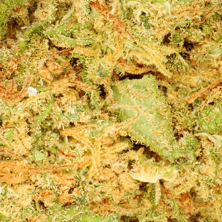Fleur de CBD Orange Bud cbdardeche