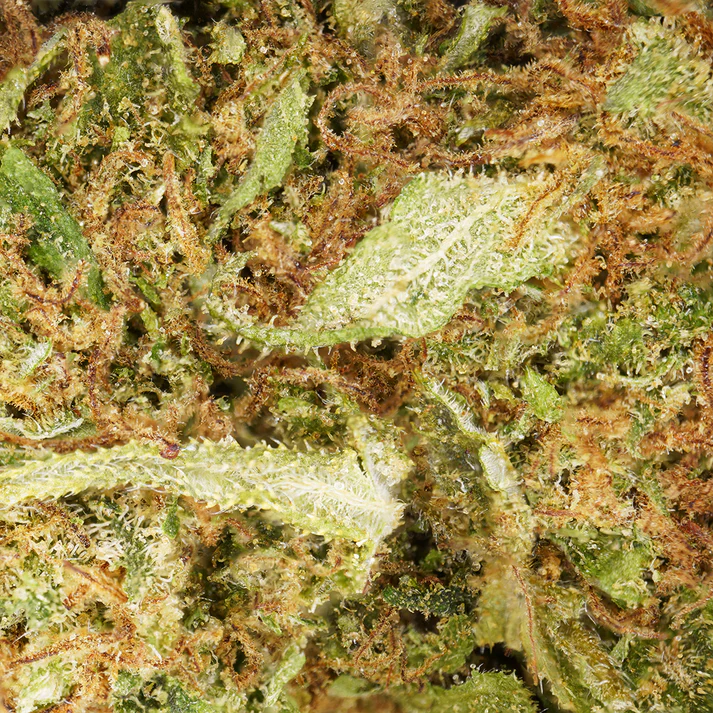 Fleur de CBD White Widow cbdardeche